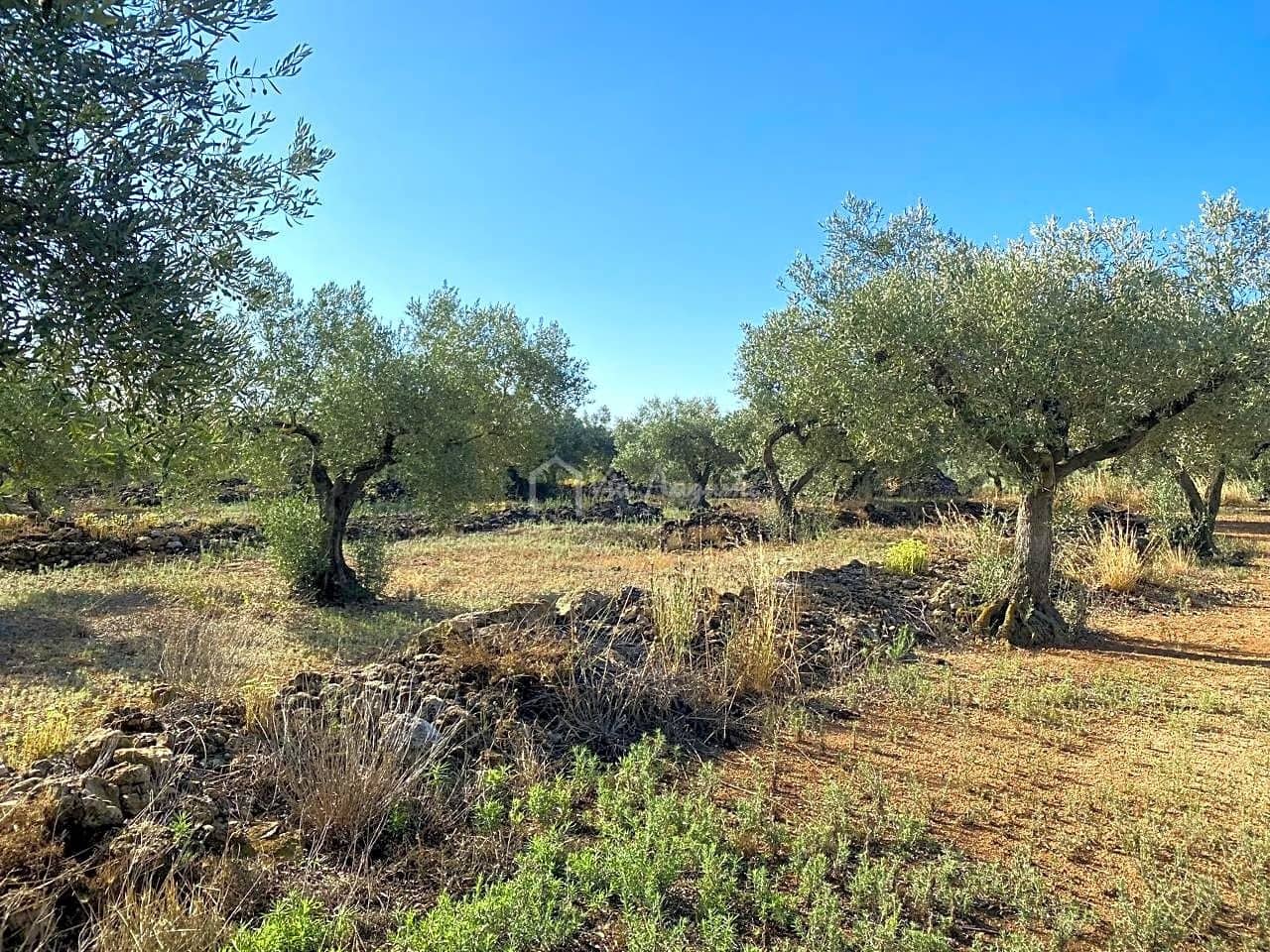 Grunde uden byggetilladelser til salg i El Perello - € 25.000 (Ref: 7666566)