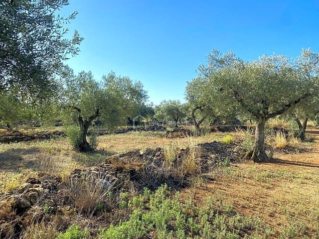 Terre non Aménagée à vendre à El Perelló - 25 000 € (Ref: 7666566)