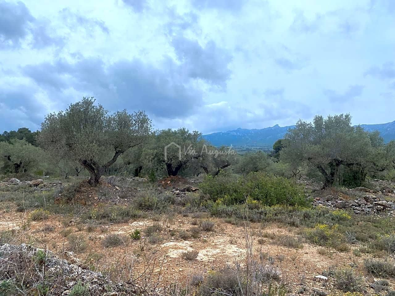 Mark till salu i El Perello - 79 000 € (Ref: 7680947)