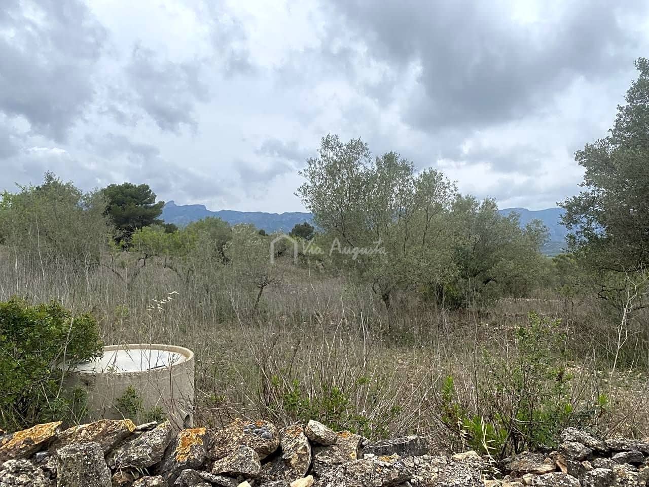 Mark till salu i El Perello - 79 000 € (Ref: 7680947)