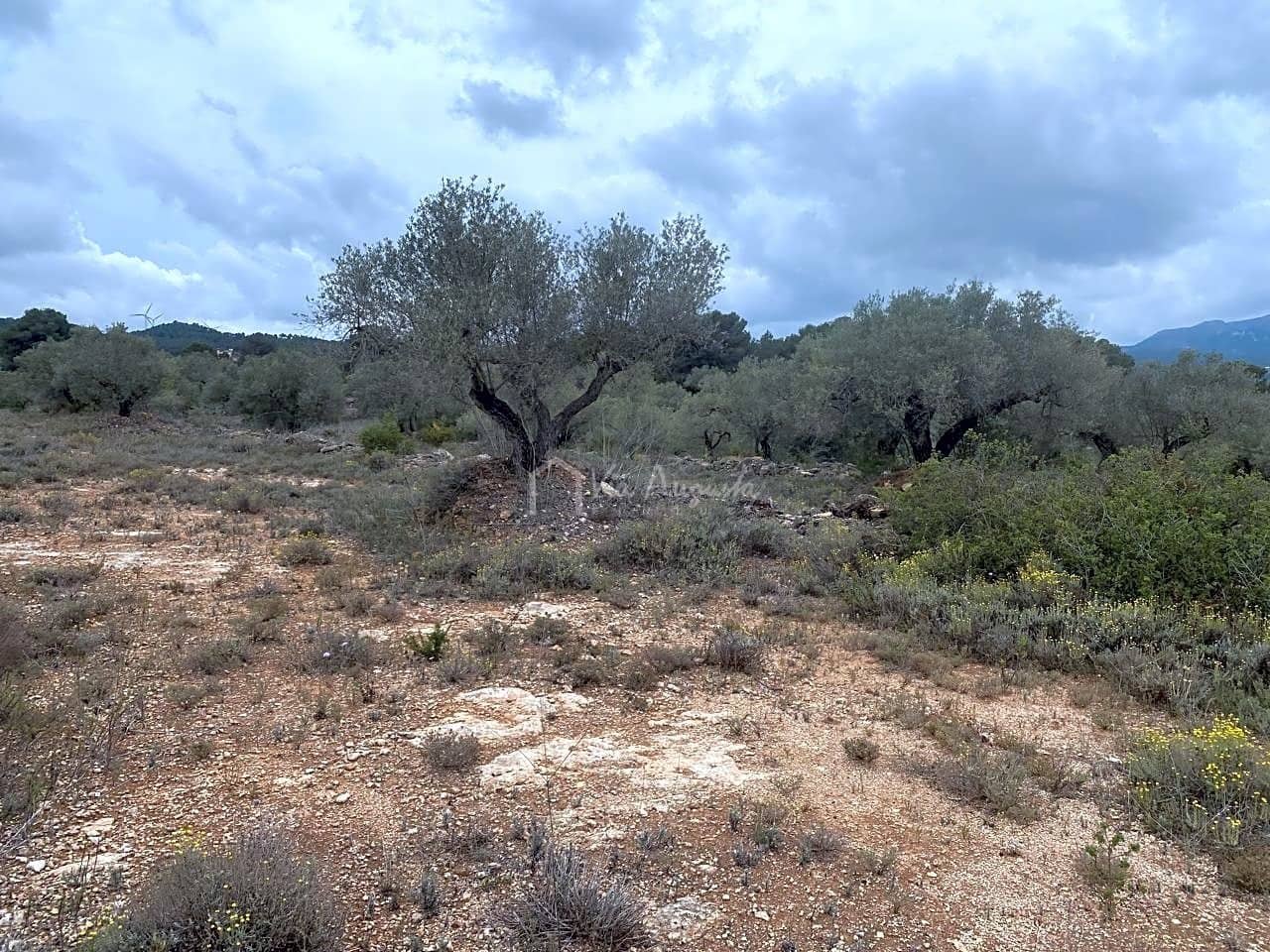 Mark till salu i El Perello - 79 000 € (Ref: 7680947)