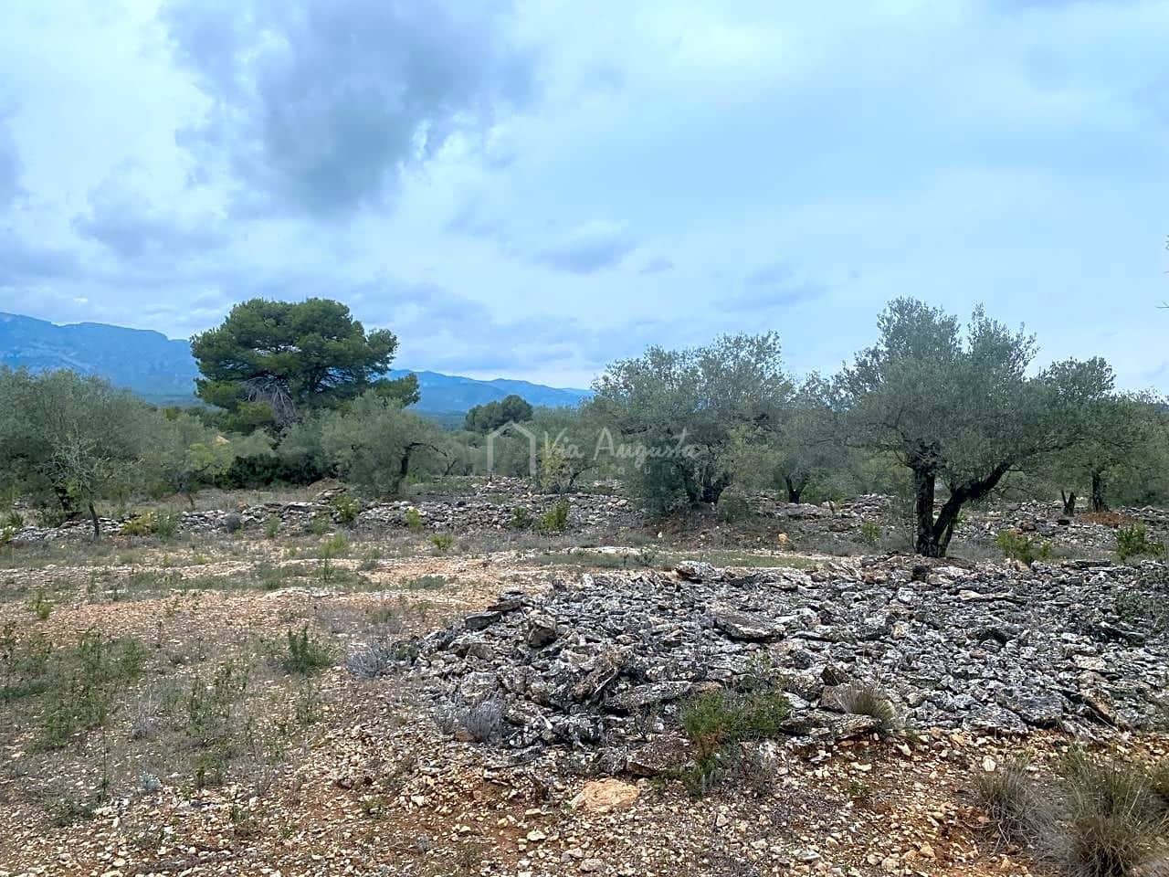 Mark till salu i El Perello - 79 000 € (Ref: 7680947)