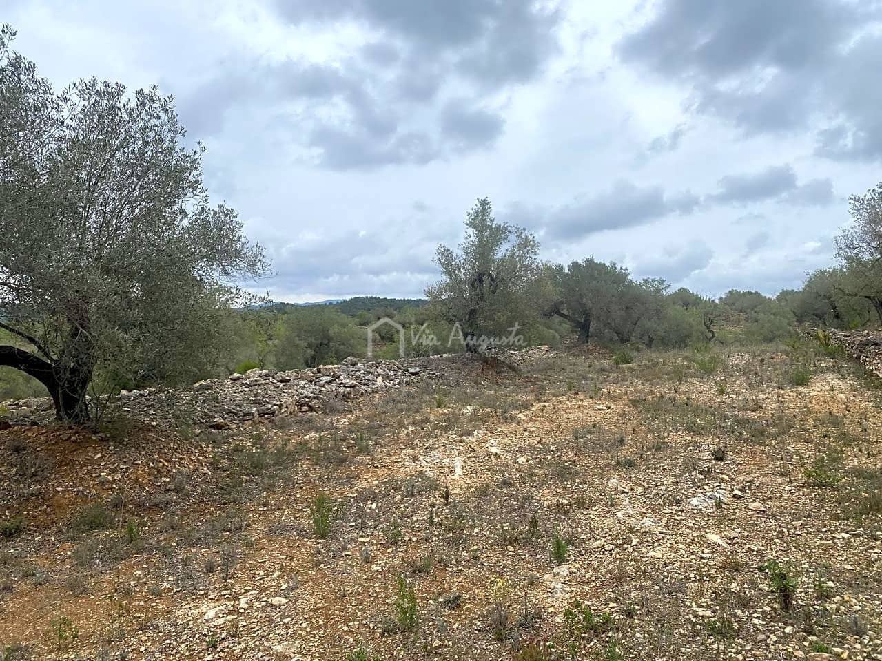 Mark till salu i El Perello - 79 000 € (Ref: 7680947)