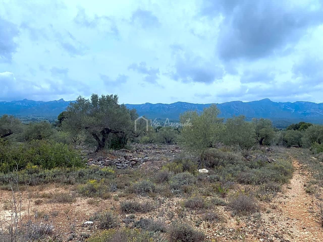 Mark till salu i El Perello - 79 000 € (Ref: 7680947)