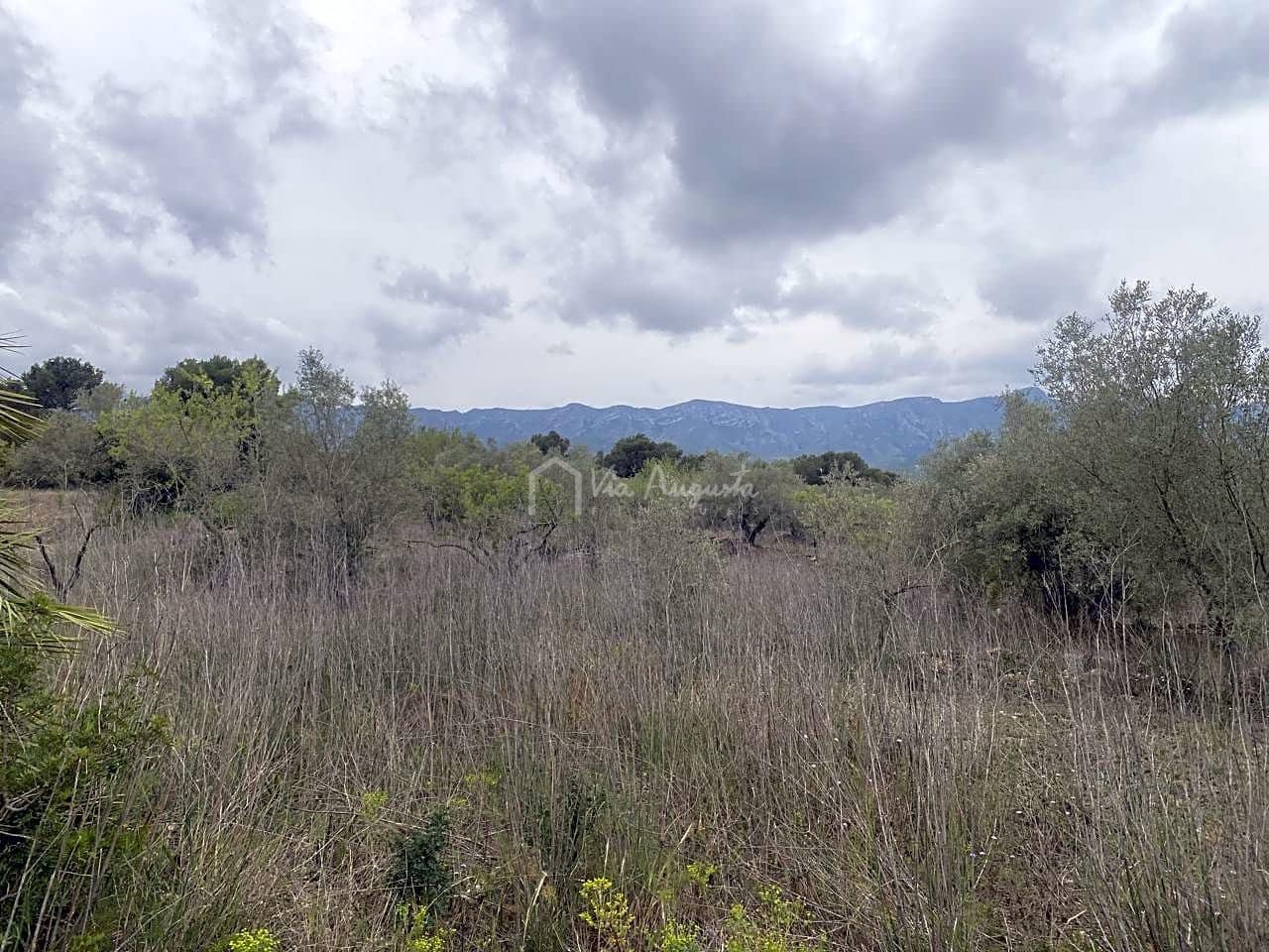 Mark till salu i El Perello - 79 000 € (Ref: 7680947)