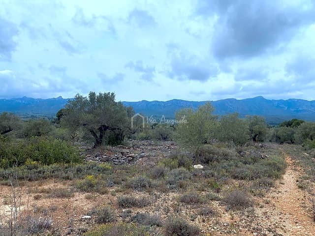 Ubebygd land til salgs i El Perelló - € 79 000 (Ref: 7680947)