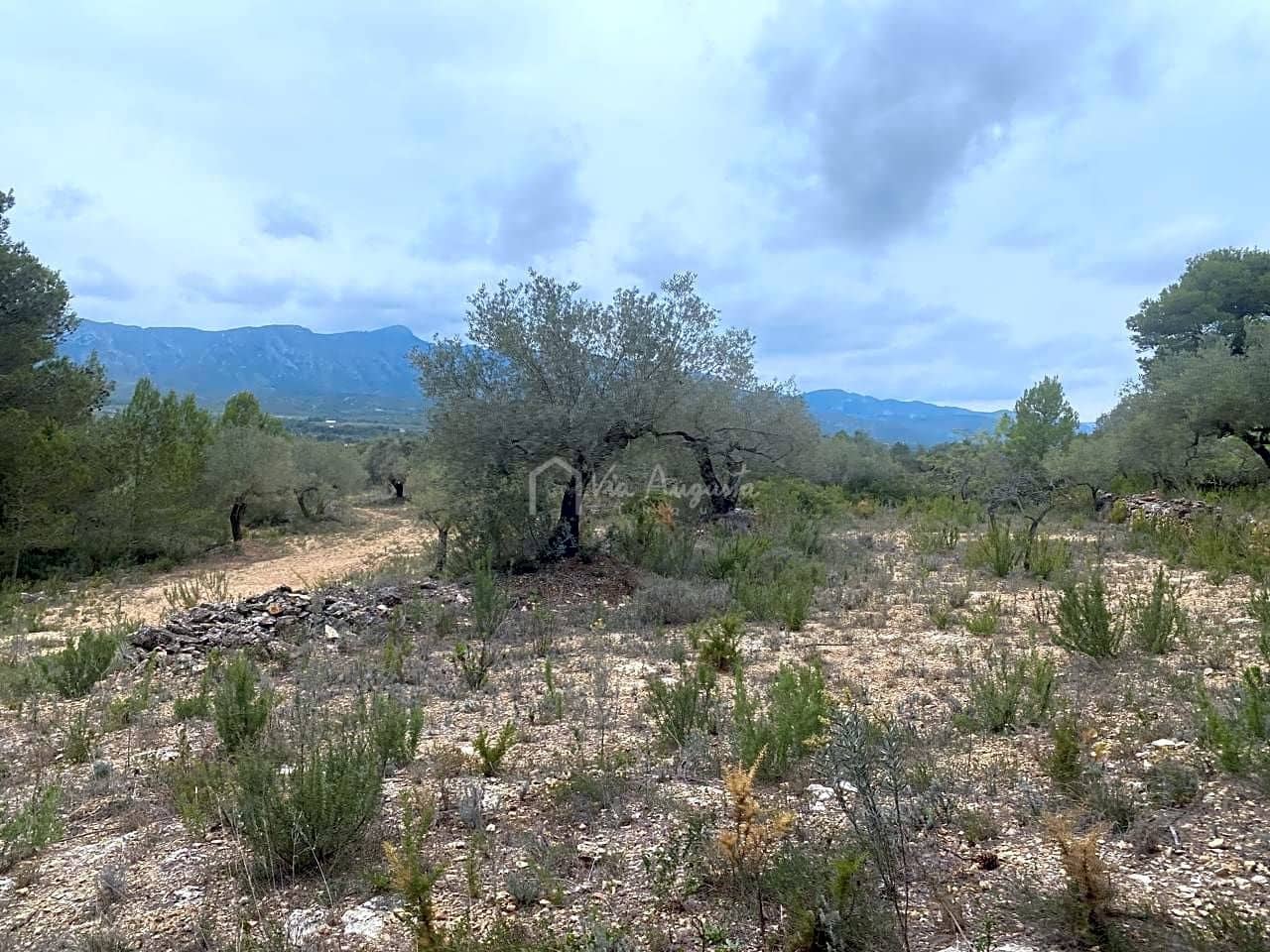 Mark till salu i El Perello - 79 000 € (Ref: 7680947)