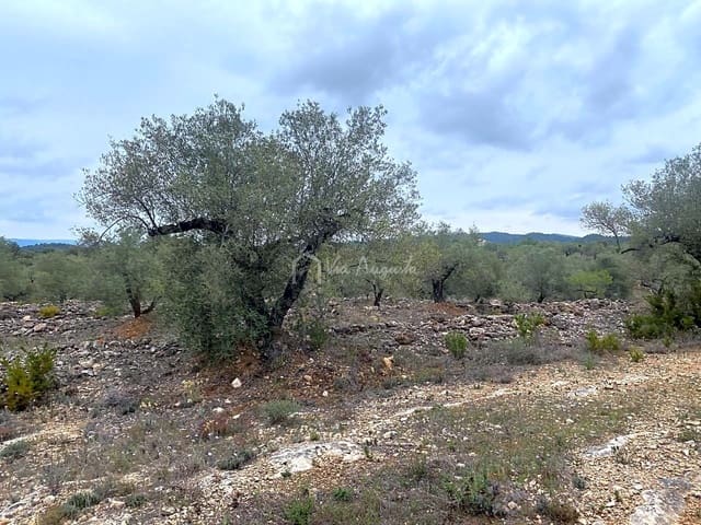 Ubebygd land til salgs i El Perelló - € 79 000 (Ref: 7680947)