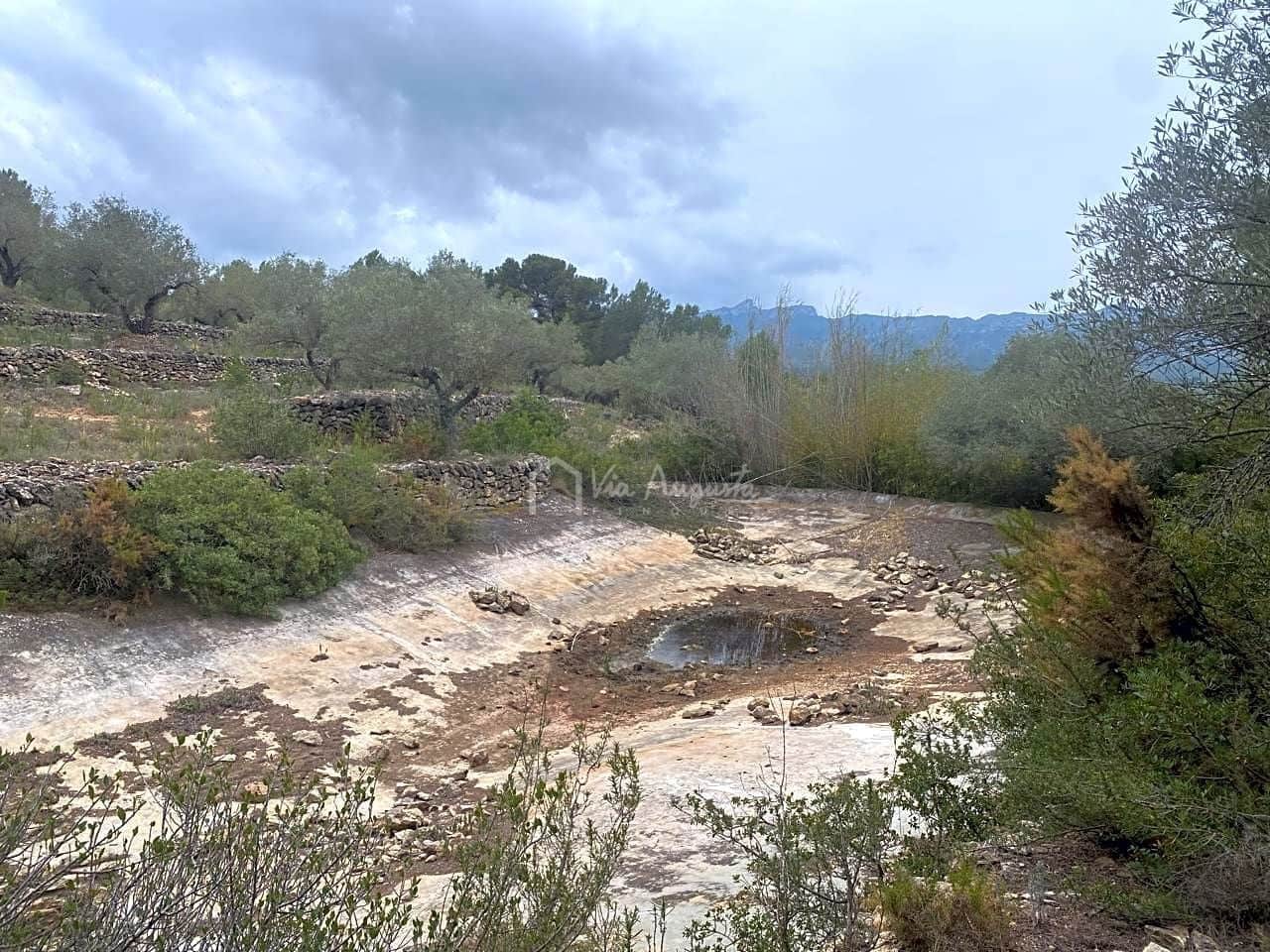 Mark till salu i El Perello - 79 000 € (Ref: 7680947)