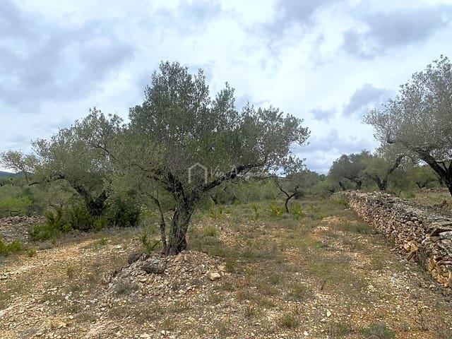 Ubebygd land til salgs i El Perelló - € 79 000 (Ref: 7680947)