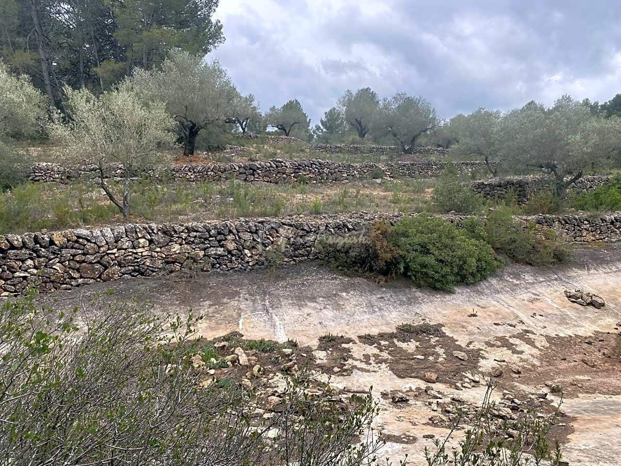 Mark till salu i El Perello - 79 000 € (Ref: 7680947)