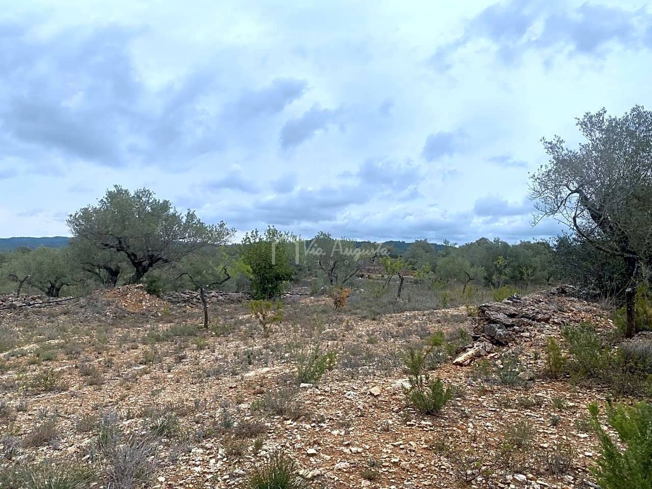 Mark till salu i El Perello - 79 000 € (Ref: 7680947)