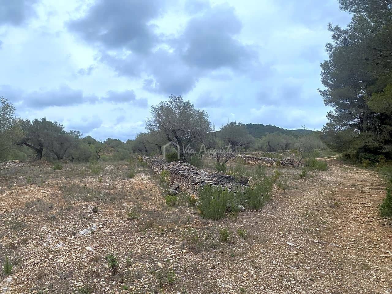 Mark till salu i El Perello - 79 000 € (Ref: 7680947)