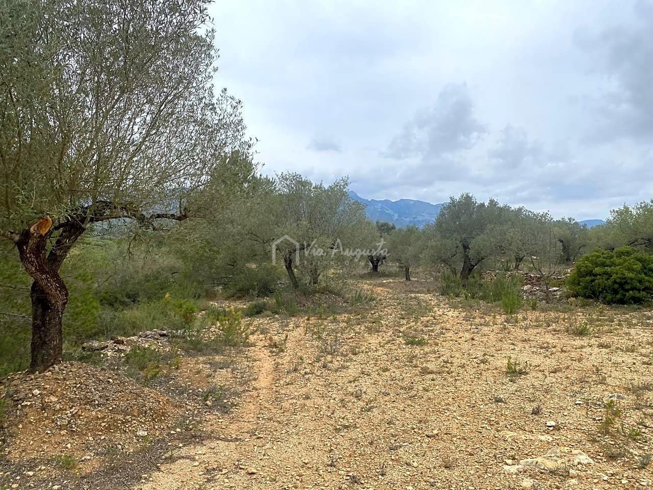 Mark till salu i El Perello - 79 000 € (Ref: 7680947)