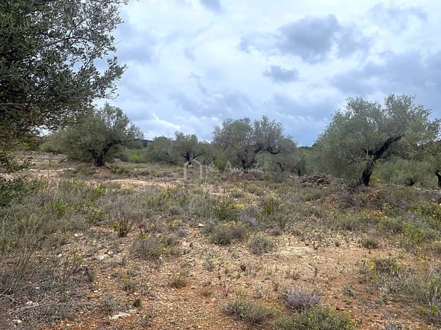 Ubebygd land til salgs i El Perelló - € 79 000 (Ref: 7680947)