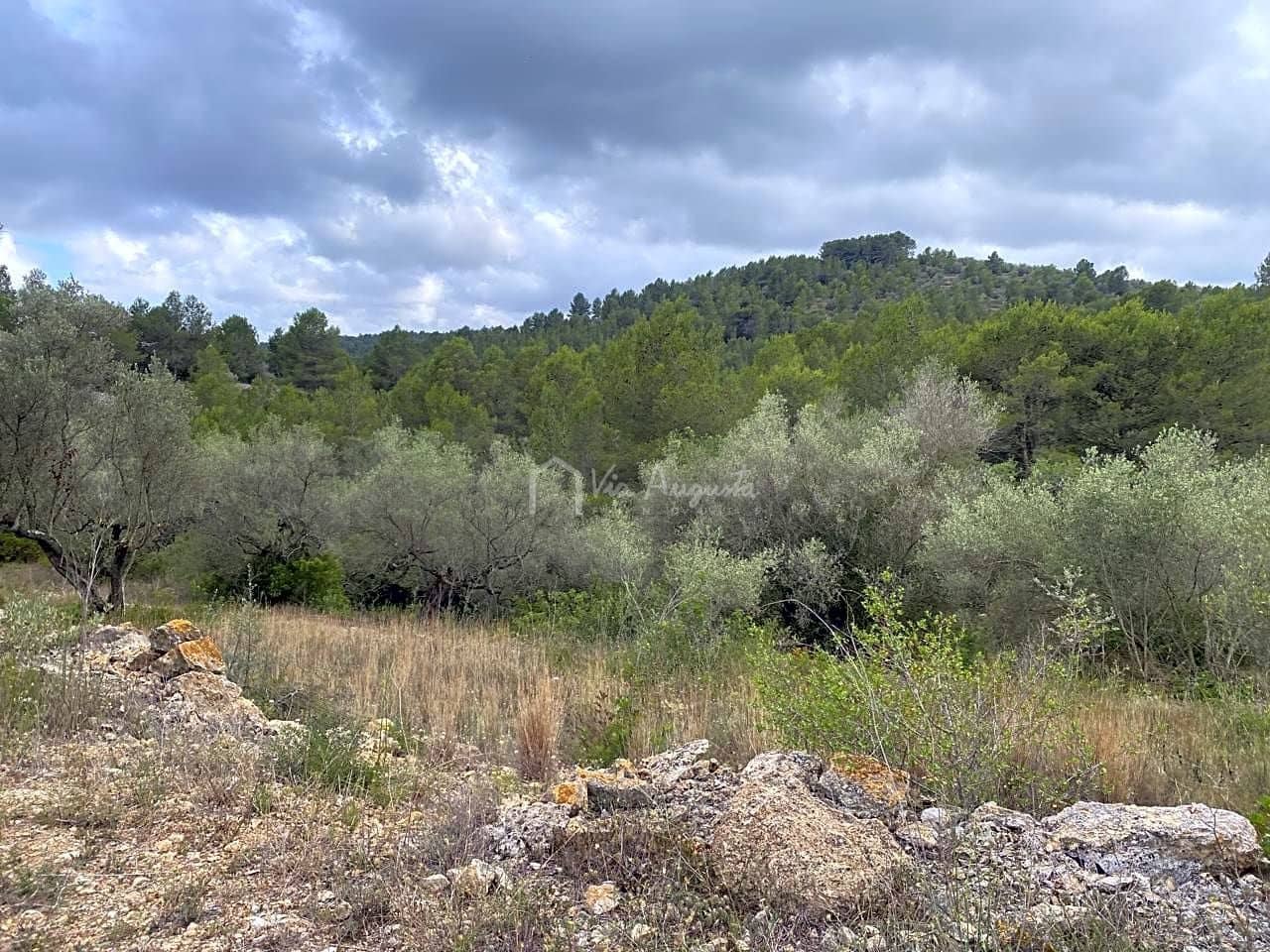 Ubebygd land til salgs i El Perello - € 29 500 (Ref: 7680948)