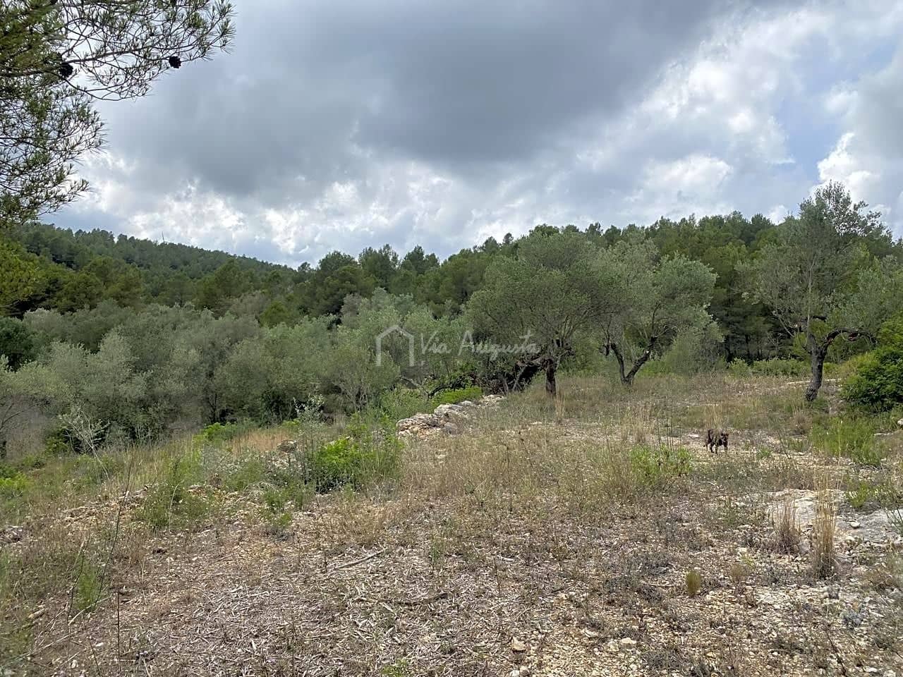 Ubebygd land til salgs i El Perello - € 29 500 (Ref: 7680948)