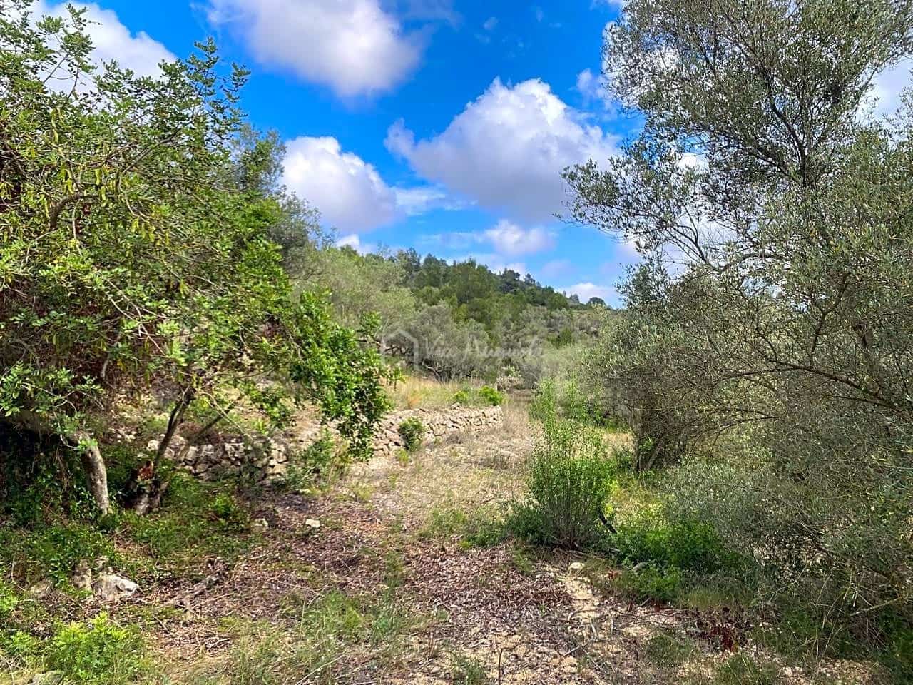 Ubebygd land til salgs i El Perello - € 29 500 (Ref: 7680948)
