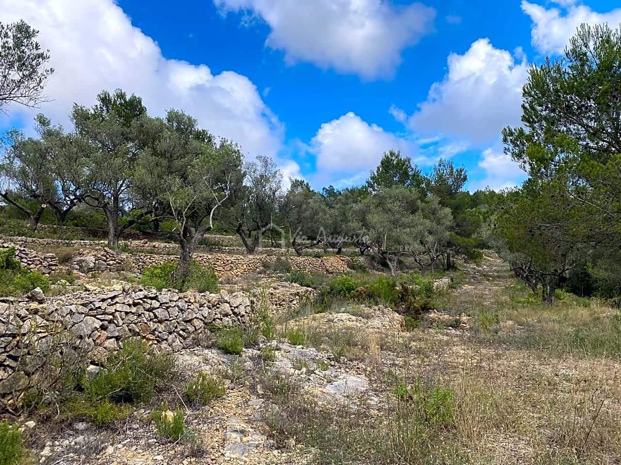 Ubebygd land til salgs i El Perello - € 29 500 (Ref: 7680948)