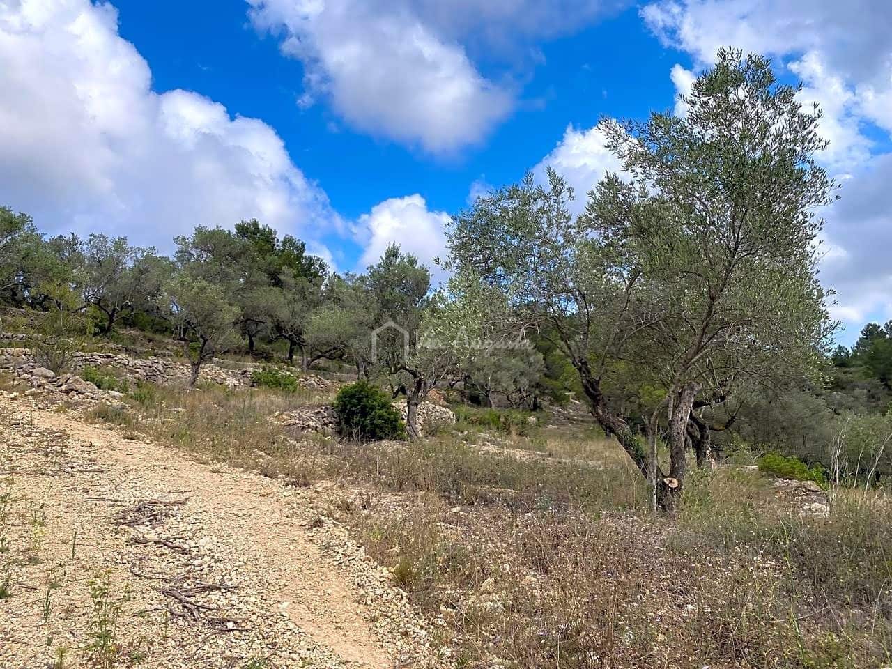 Ubebygd land til salgs i El Perello - € 29 500 (Ref: 7680948)