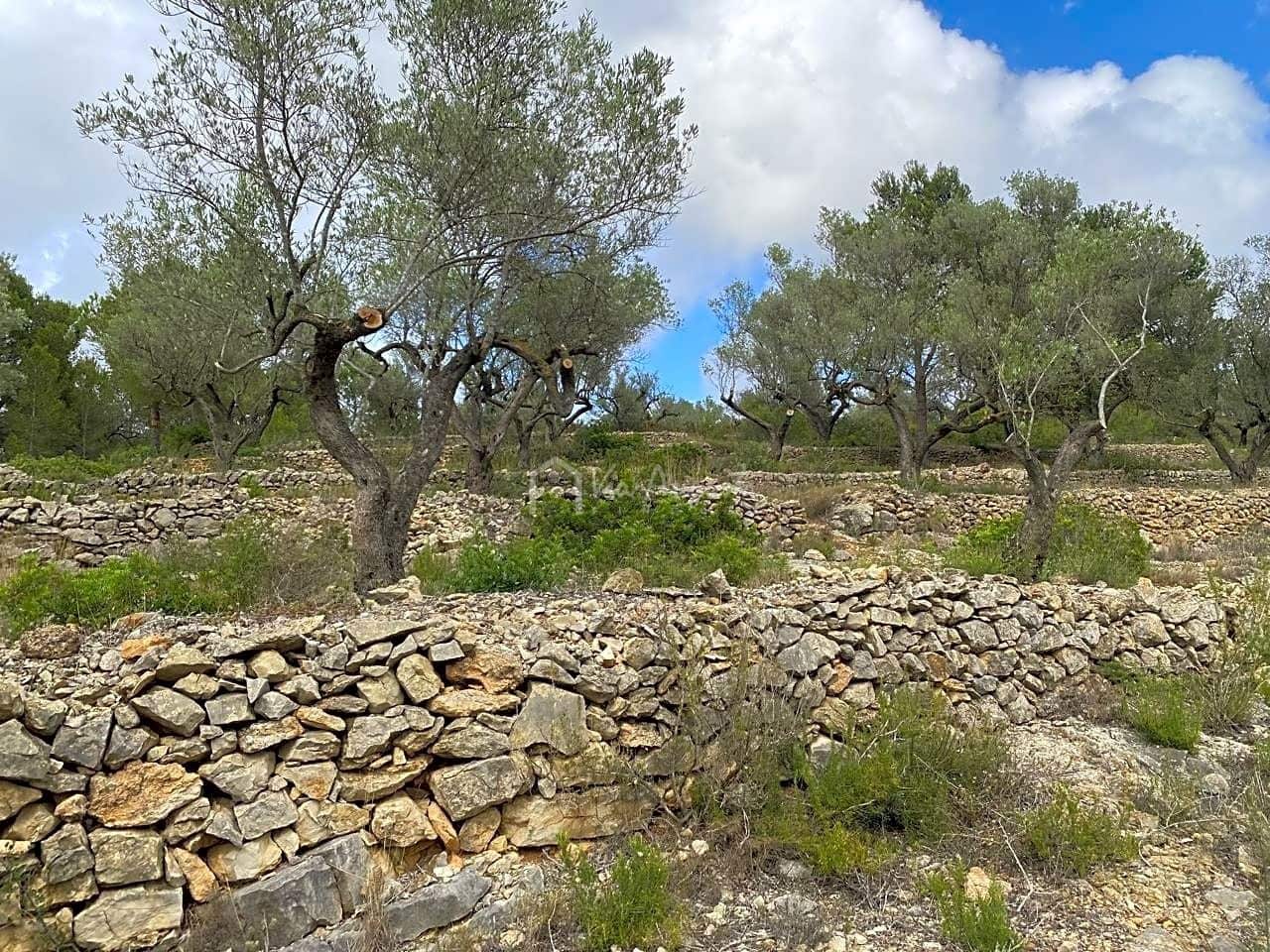 Ubebygd land til salgs i El Perello - € 29 500 (Ref: 7680948)