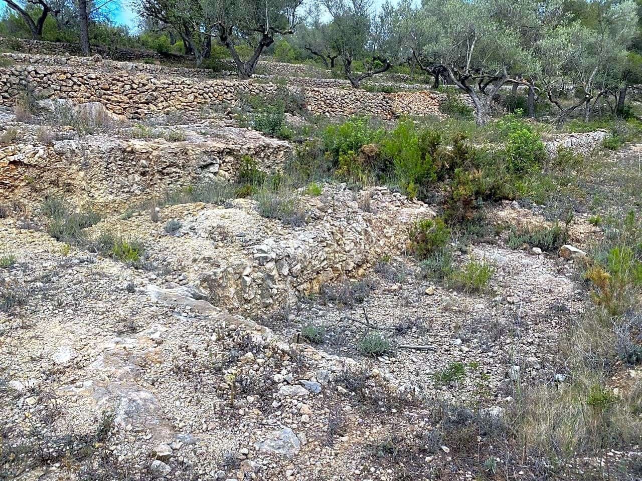 Ubebygd land til salgs i El Perello - € 29 500 (Ref: 7680948)