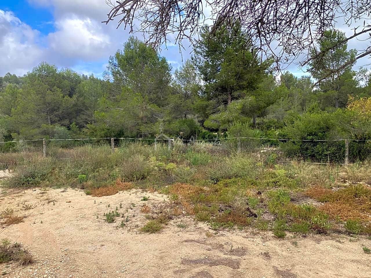 Ubebygd land til salgs i El Perello - € 29 500 (Ref: 7680948)