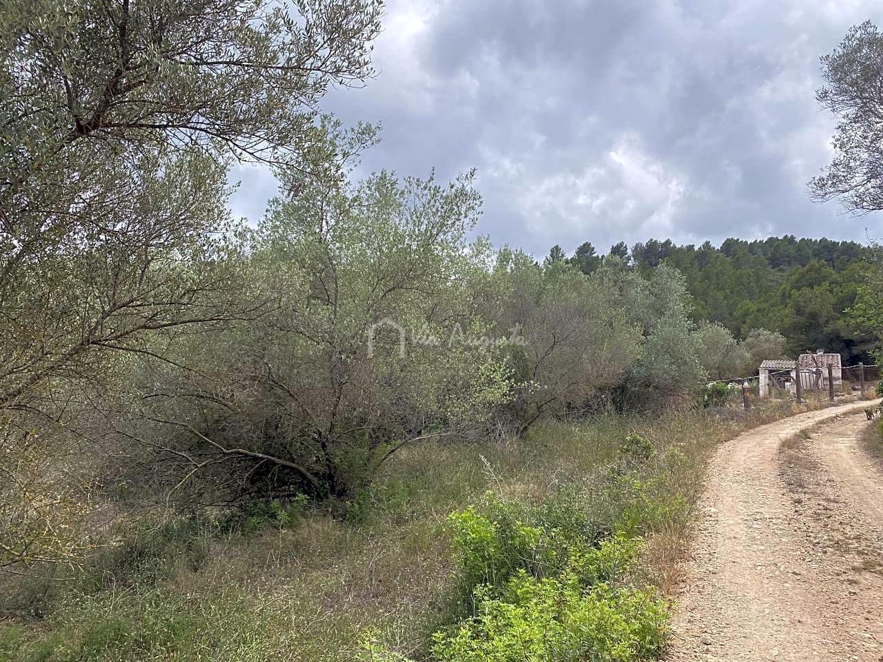 Ubebygd land til salgs i El Perello - € 29 500 (Ref: 7680948)