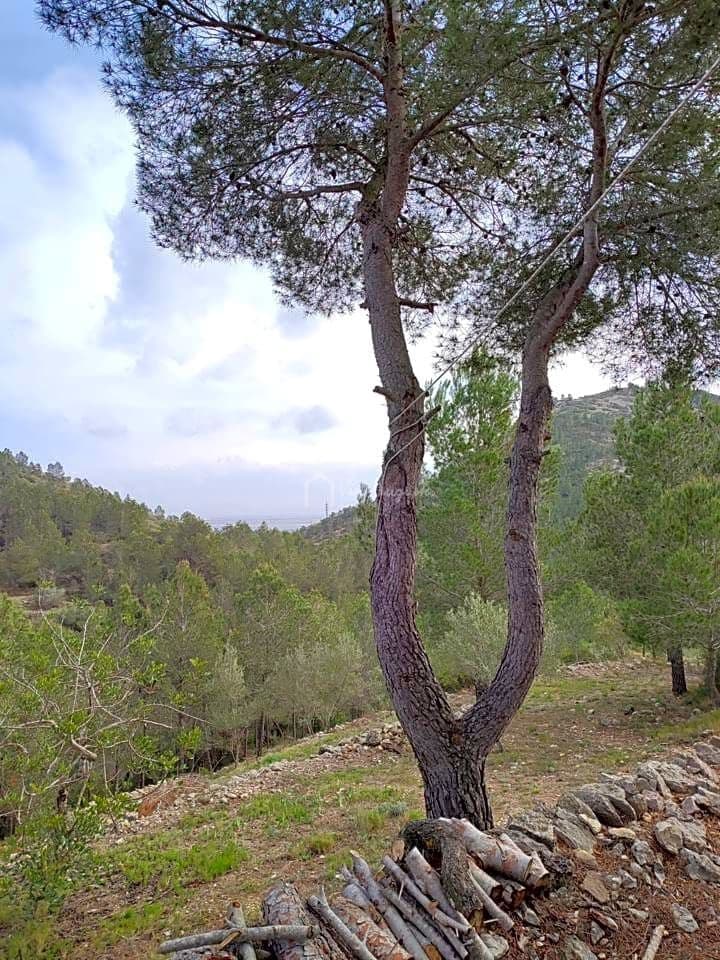 Undeveloped Land for sale in El Perello - € 85,000 (Ref: 7717125)