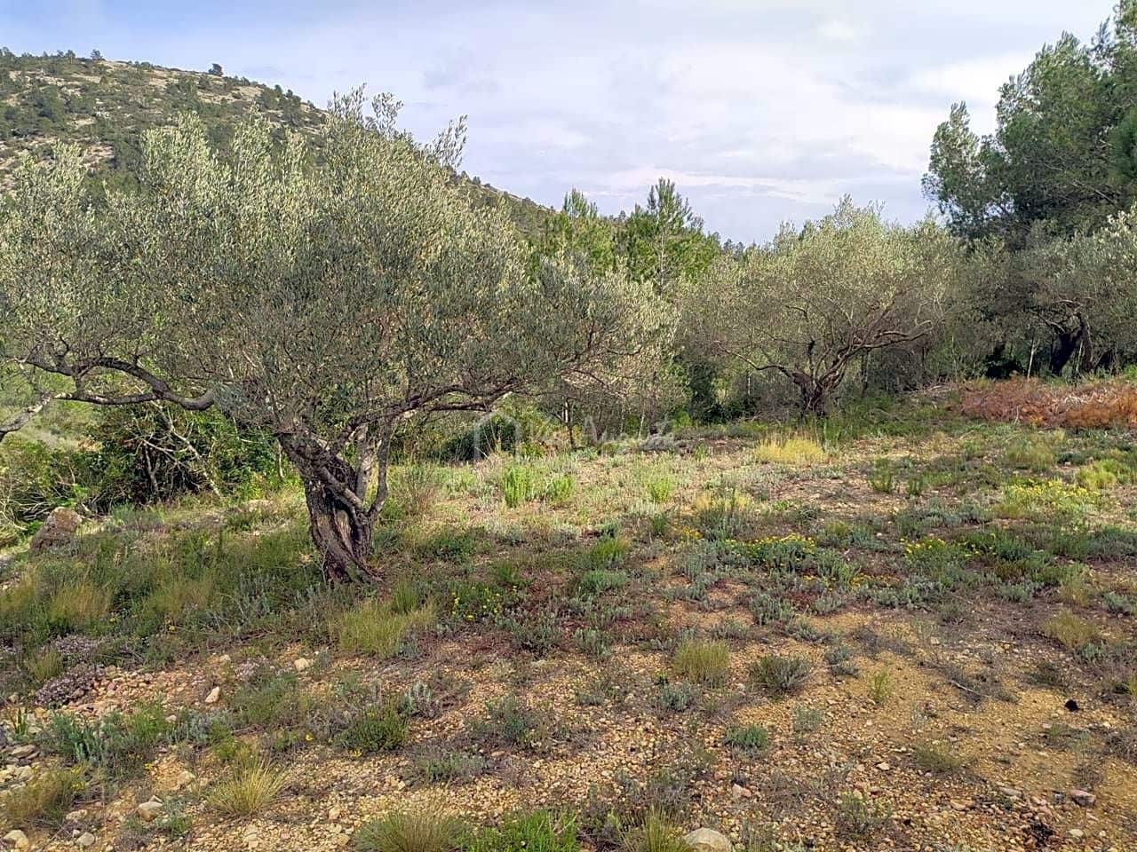 Undeveloped Land for sale in El Perello - € 85,000 (Ref: 7717125)