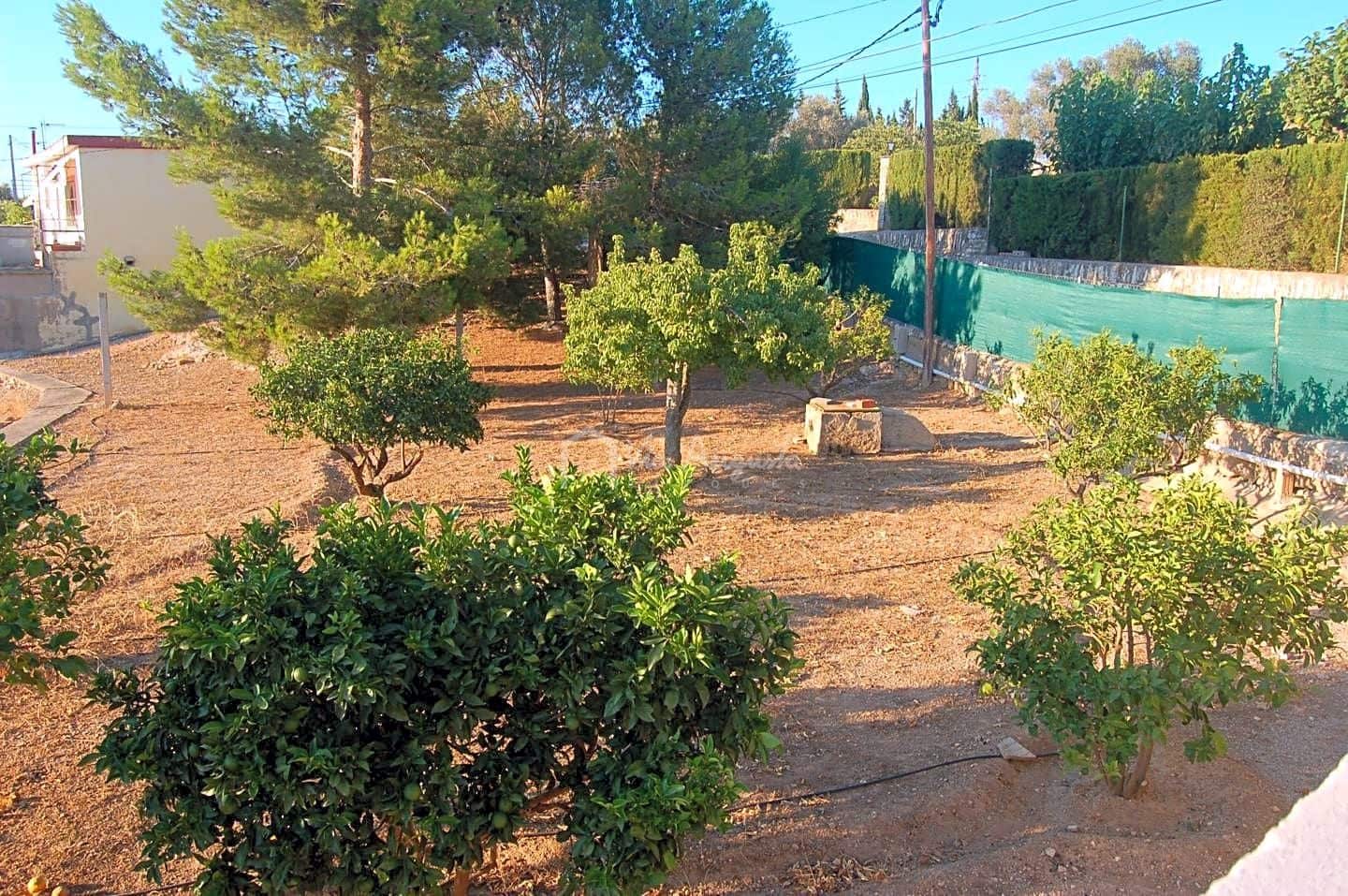 Grunde uden byggetilladelser til salg i Tortosa - € 70.000 (Ref: 7733901)