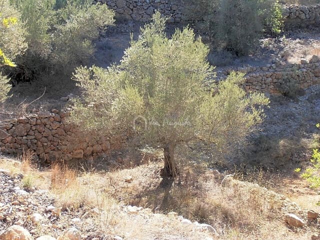 Undeveloped Land for sale in Bitem, Tortosa - € 22,000 (Ref: 7733907)