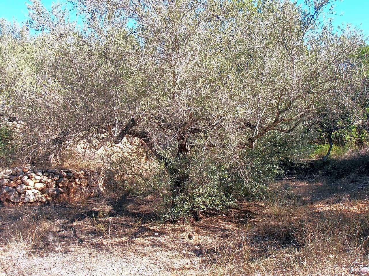 Grunde uden byggetilladelser til salg i Bitem - € 22.000 (Ref: 7733907)