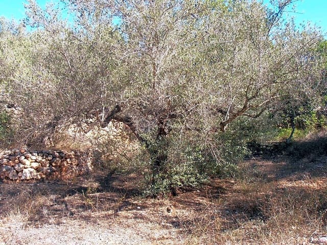 Undeveloped Land for sale in Bitem, Tortosa - € 22,000 (Ref: 7733907)