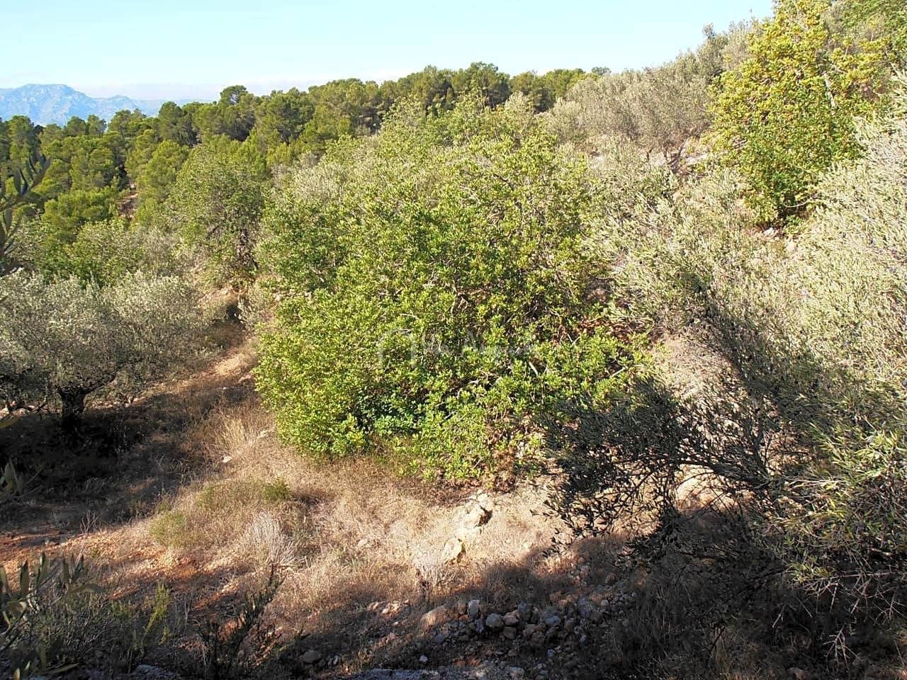 Grunde uden byggetilladelser til salg i Bitem - € 22.000 (Ref: 7733907)