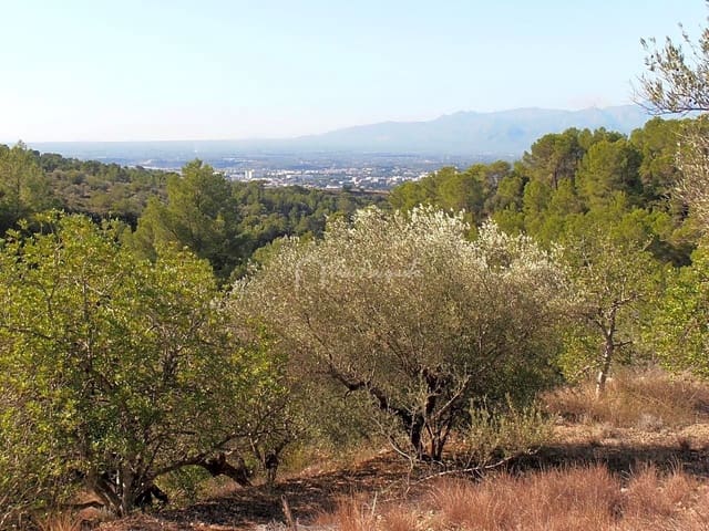 Undeveloped Land for sale in Bitem, Tortosa - € 22,000 (Ref: 7733907)