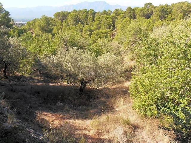 Undeveloped Land for sale in Bitem, Tortosa - € 22,000 (Ref: 7733907)