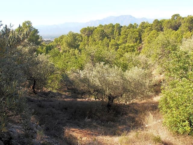 Undeveloped Land for sale in Bitem, Tortosa - € 22,000 (Ref: 7733907)