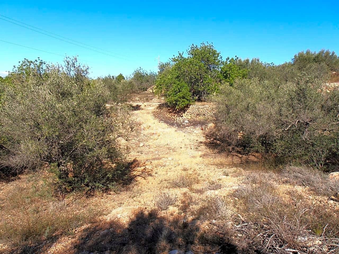 Grunde uden byggetilladelser til salg i Bitem - € 22.000 (Ref: 7733907)