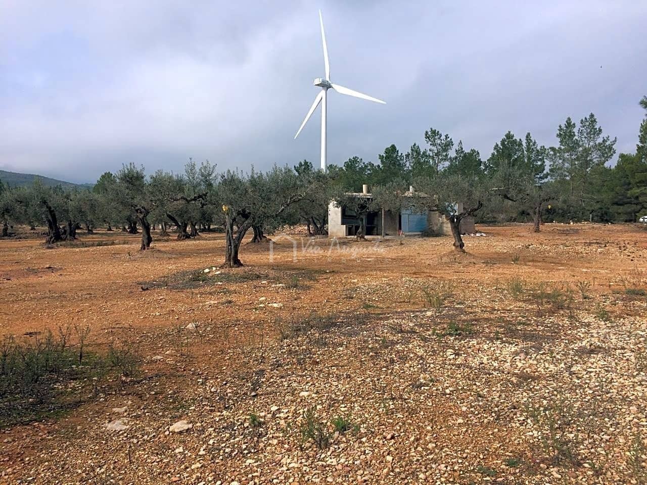 Undeveloped Land for sale in El Perello - € 48,000 (Ref: 7733908)