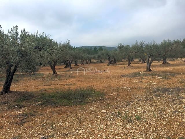 Undeveloped Land for sale in El Perelló - € 48,000 (Ref: 7733908)