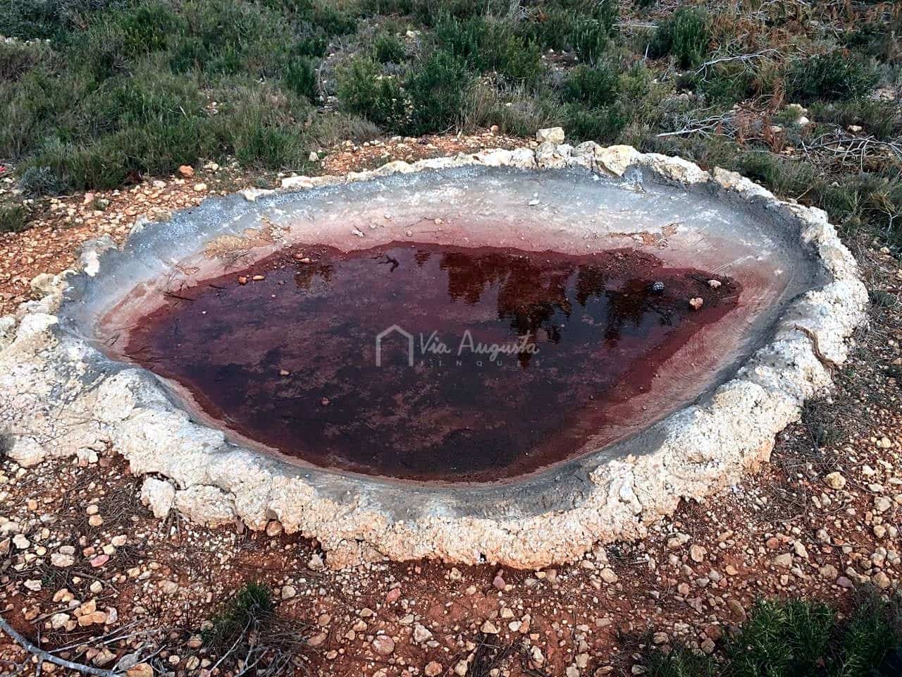 Undeveloped Land for sale in El Perello - € 48,000 (Ref: 7733908)