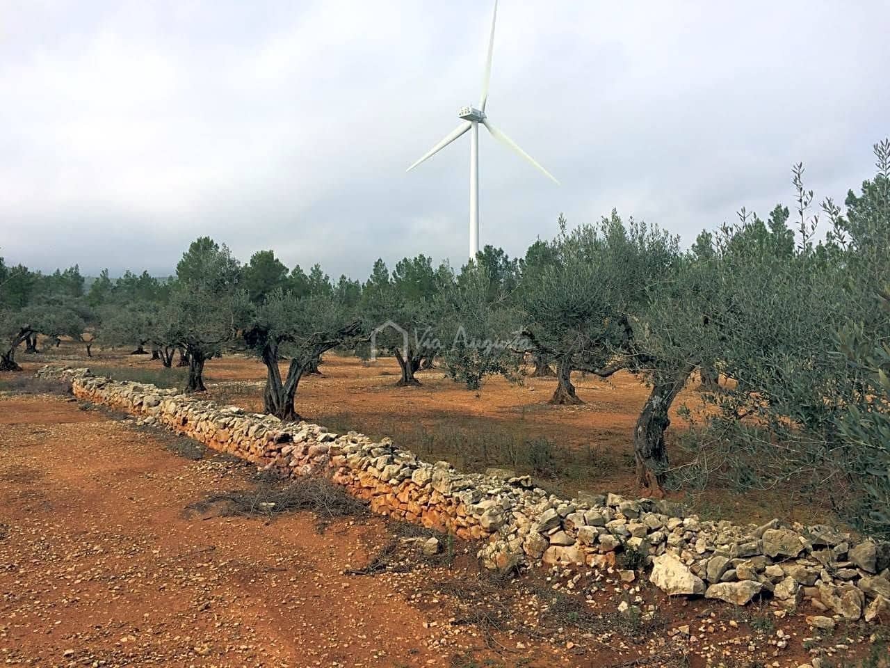 Undeveloped Land for sale in El Perello - € 48,000 (Ref: 7733908)