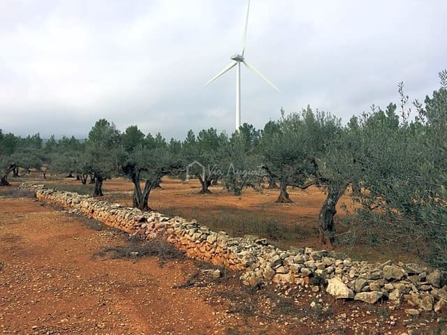 Undeveloped Land for sale in El Perelló - € 48,000 (Ref: 7733908)