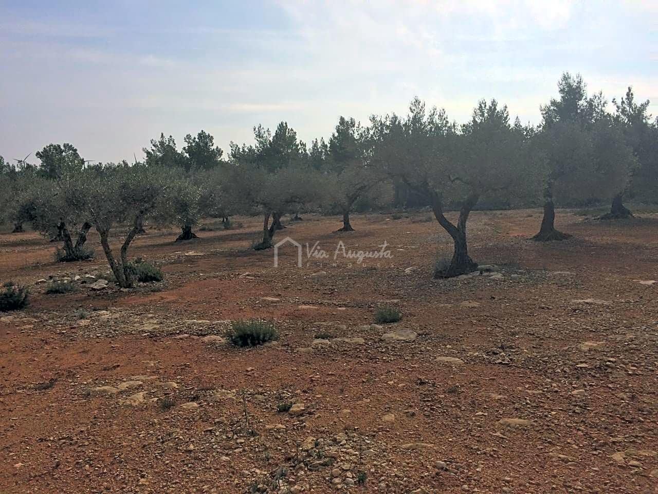 Undeveloped Land for sale in El Perello - € 48,000 (Ref: 7733908)