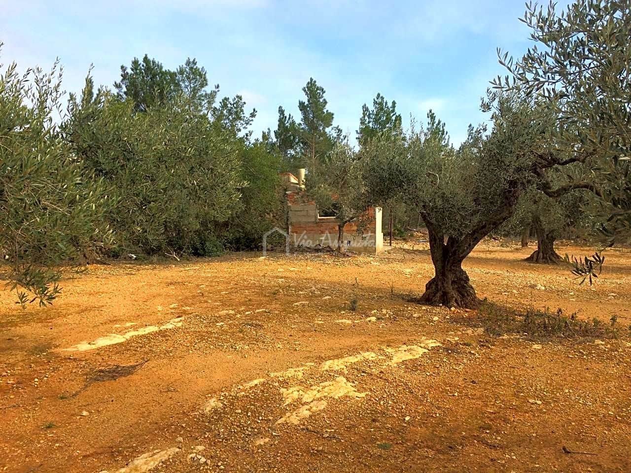 Undeveloped Land for sale in El Perello - € 48,000 (Ref: 7733908)