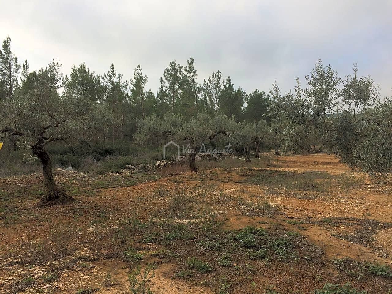Undeveloped Land for sale in El Perello - € 48,000 (Ref: 7733908)