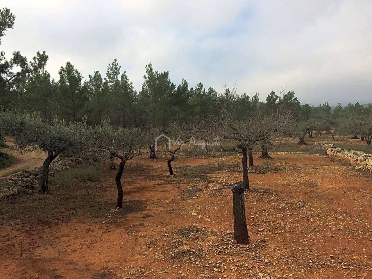 Undeveloped Land for sale in El Perello - € 48,000 (Ref: 7733908)