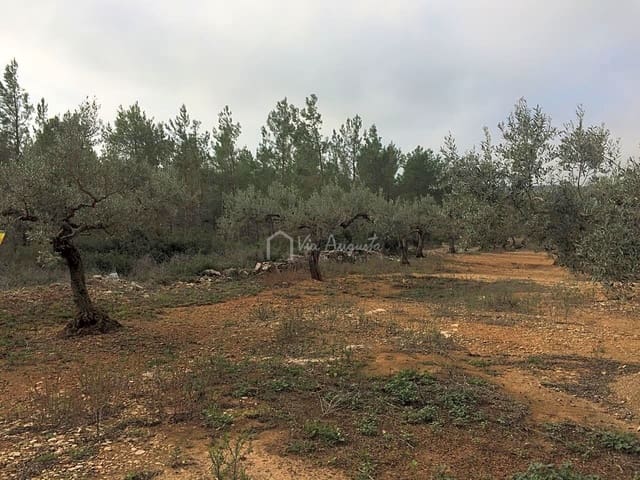 Undeveloped Land for sale in El Perelló - € 48,000 (Ref: 7733908)