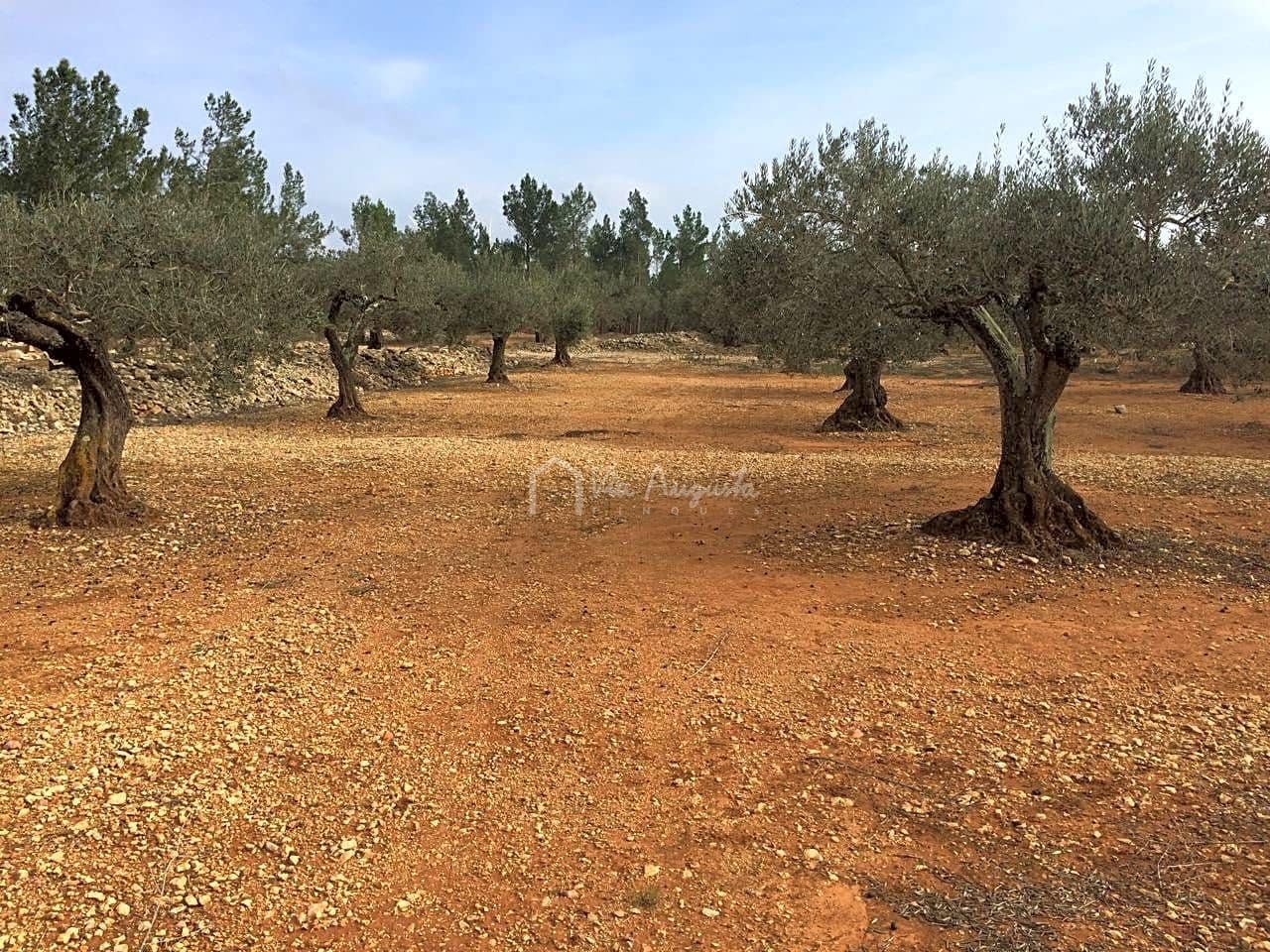 Undeveloped Land for sale in El Perello - € 48,000 (Ref: 7733908)